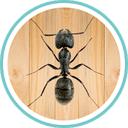 Download Ant Smasher 2.3 Apk for android