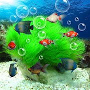 Download Aquarium Live Wallpaper 3.7 Apk for android Apk