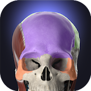 Download Anatomyka - 3D Human Anatomy Atlas 2.4.1 Apk for android