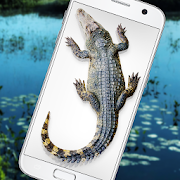 Download Crocodile in Phone Big Joke - iCrocodile 1.0 Apk for android