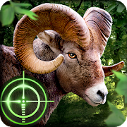 Download Wild Hunter 3D 1.0.11 Apk for android