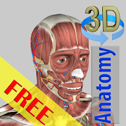 Download 3D Bones and Organs (Anatomy)  Apk for android