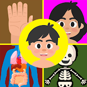 Download Body Parts for Kids 1.6 Apk for android Apk