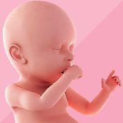 Download Pregnancy Tracker, Week by Week, Day by Day 1.1.9 Apk for android Apk