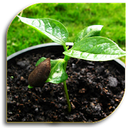 Download Seeds - Planting (Guide) 1.2 Apk for android