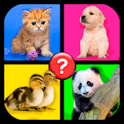 Download 4 images 1 word: Word Games 1.10 Apk for android