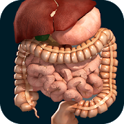 Download Internal Organs in 3D (Anatomy) 2.5 Apk for android