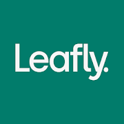 Download Leafly: Find Cannabis and CBD 7.27.1 Apk for android