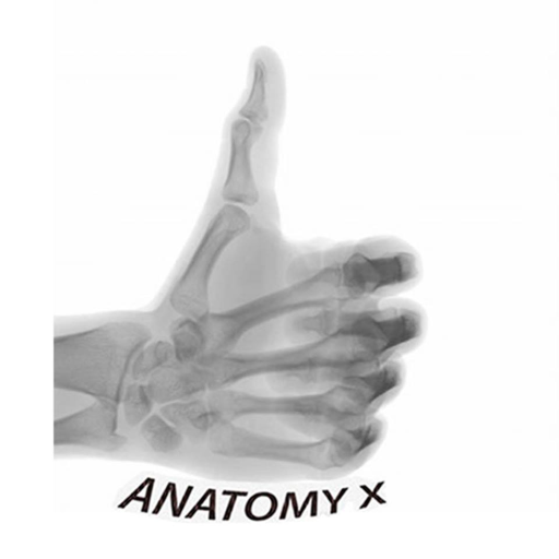 Download Anatomy and Radiographic Projections 1.9 Apk for android