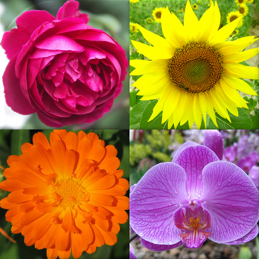 Download Flowers Quiz - Identify Plants 3.1.0 Apk for android