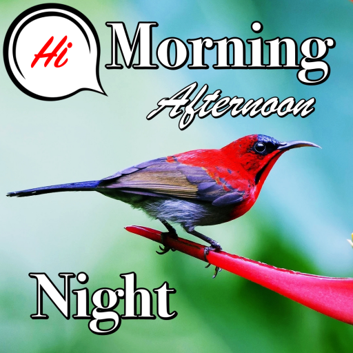 Download Good Morning to Night Wishes 9.10.08.9 Apk for android