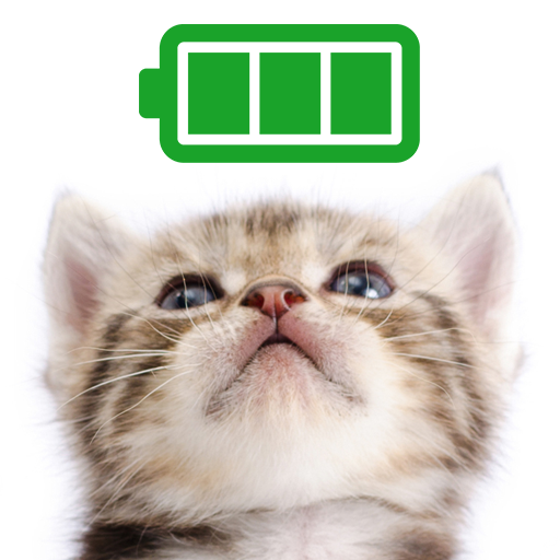 Économiseur de batterie Chats 3.31.19.2