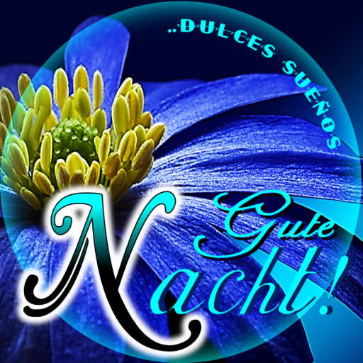 Download Gute Nacht 5.6.0 Apk for android