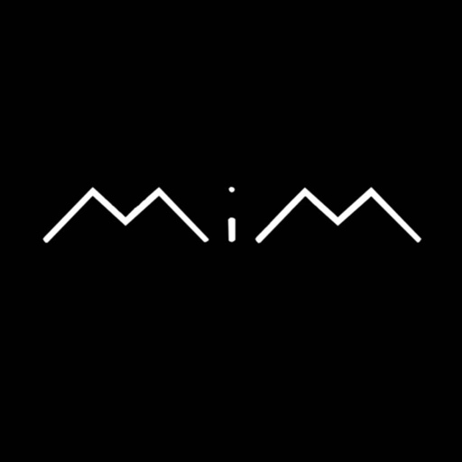 MIM Shoes 4.0