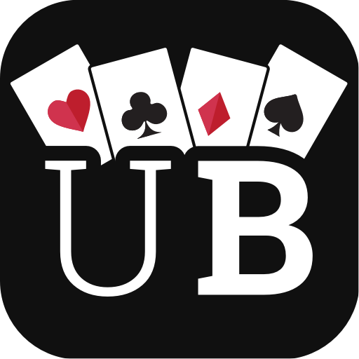 Download Ultimate Bridge 3.3.11 Apk for android Apk