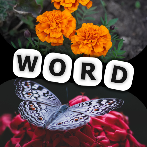 Download 2 Pics 1 Word - Word game 22.05.1 Apk for android Apk