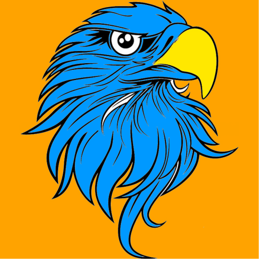 Download Eagle Browser 1.0.22 Apk for android