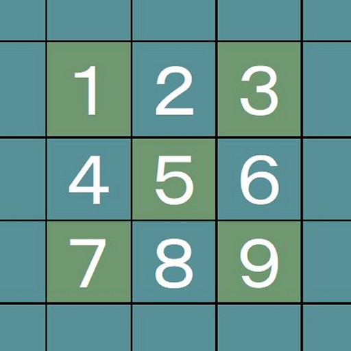 Sudoku Input and Solve 