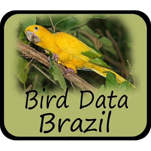 Download Bird Data - Brazil Bird Data - Brazil 1280 Apk for android