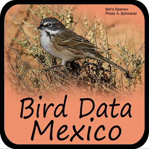 Download Bird Data - Mexico Bird Data - Mexico 1280 Apk for android