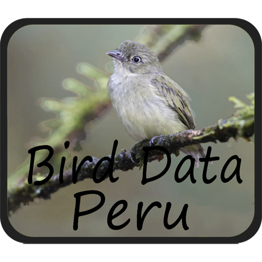 Download Bird Data - Peru Bird Data - Peru 1280 Apk for android