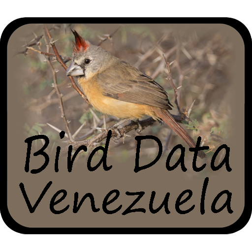 Download Bird Data - Venezuela Bird Data - Venezuela 1280 Apk for android