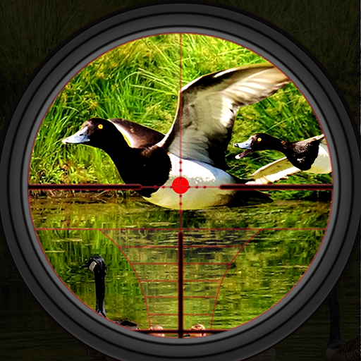 Download Canard Chasse Sauvage Tir Sim 2.0 Apk for android Apk