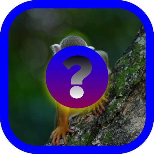 Download Guess the picture 10.7.0z Apk for android Apk