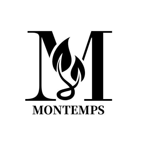 Download MONTEMPS 1.0.13 Apk for android