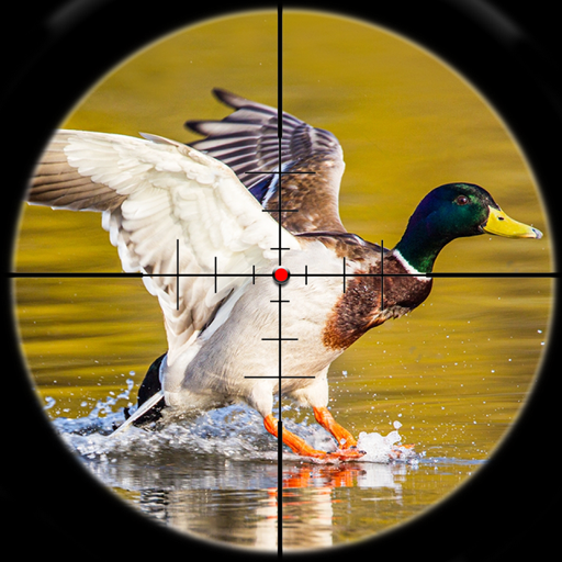 Download Oiseaux Chasse Sniper Tir 1.0 Apk for android Apk