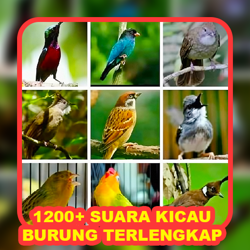 Download 1200+ Suara Kicau Burung MP3 40.5.7 Apk for android