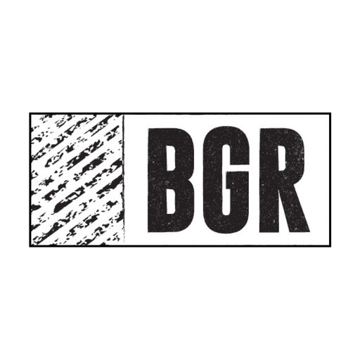 Download BGR - The Burger Joint 12.0.1 Apk for android