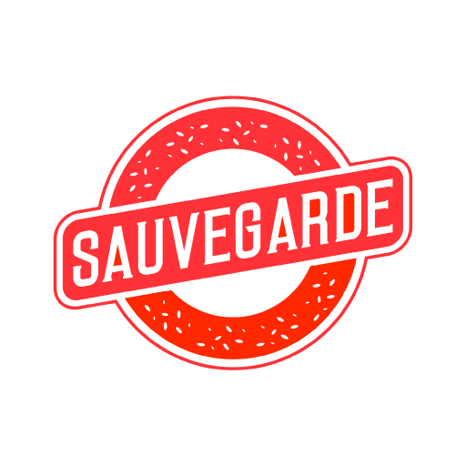 Download Sauvegarde 2.8.34 Apk for android