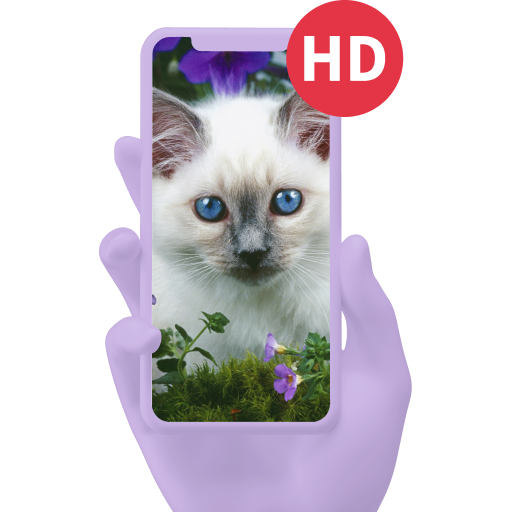 Download Fond D'écran de Chat 2.22 Apk for android