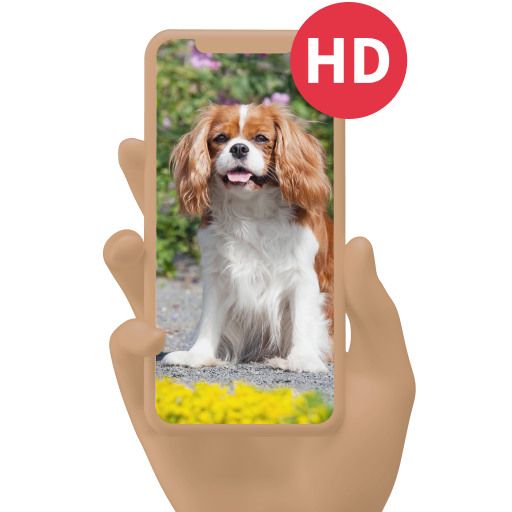 Download Fond D'écran de Chien 2.14 Apk for android Apk