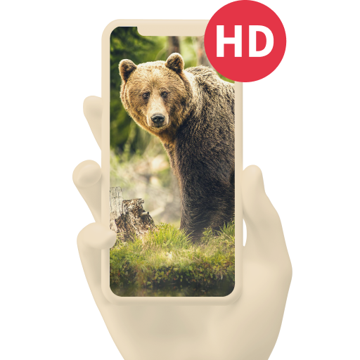 Download Fonds d'Écran Animaux 2.24 Apk for android