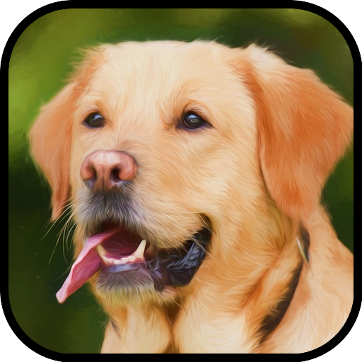 Download Labrador Retriever Wallpapers 10.0.0 Apk for android