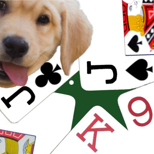 Download K9 Euchre 6.0 Apk for android