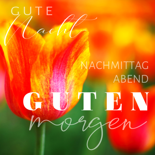 Download Guten Morgen Nachmittag Abend 6.0.2.3 Apk for android