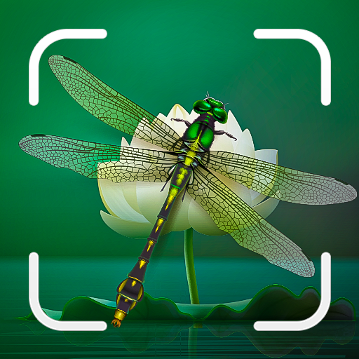 Identification des insectes id 1.8.8 Apk for android