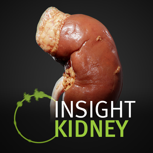 INSIGHT KIDNEY 1.3.1